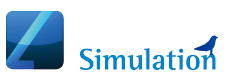 Simulation