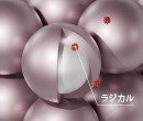 「ラジカルバリヤコート」概念図