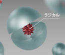 「ラジカルバリヤコート」概念図