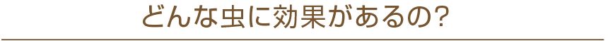 どんな虫に効果があるの？